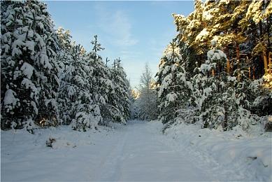 格斗大赛EVO官方公布厂商新进展 多款格斗大作将公布新情报